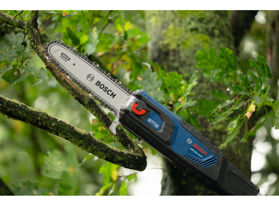 18V 10 In. Pole Chainsaw (Kit)