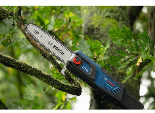 18V 10 In. Pole Chainsaw (Kit)