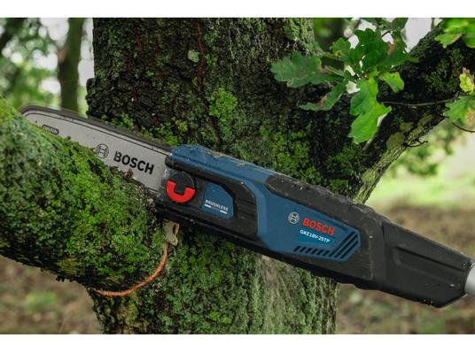 18V 10 In. Pole Chainsaw (Kit)